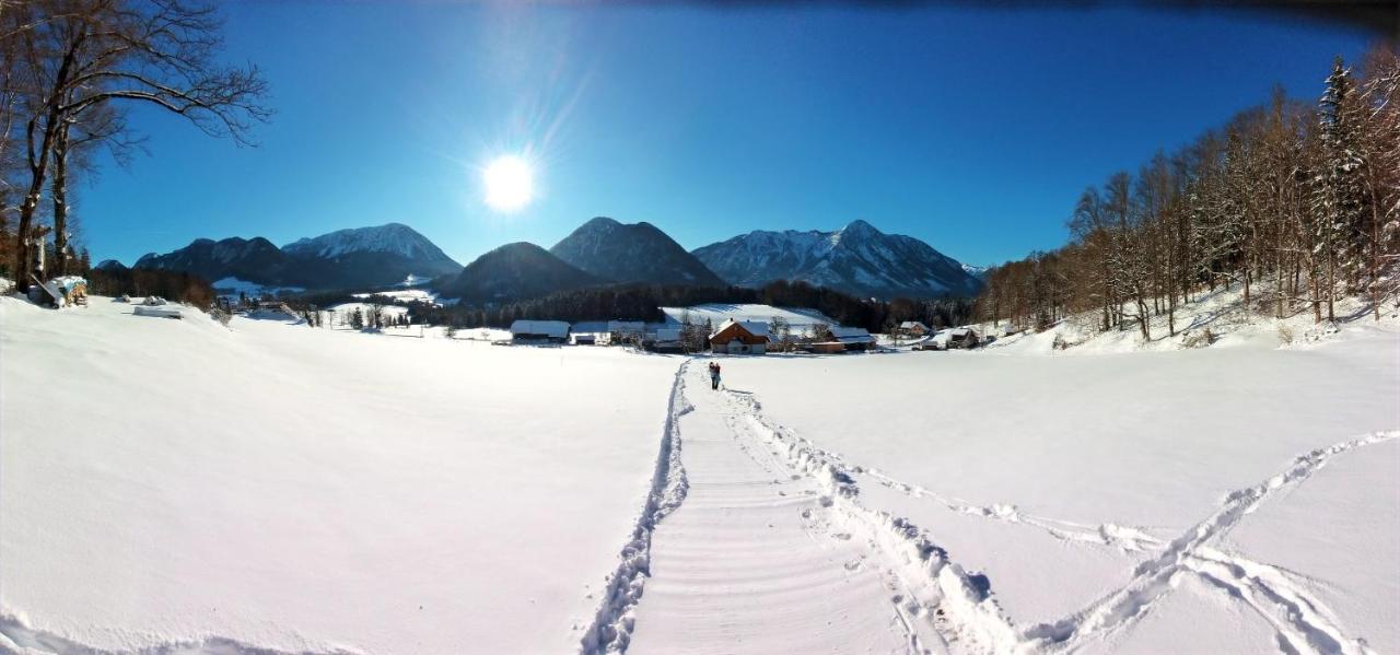 Ferienwohnungen Seraphine Und Theresia Grundlsee Exterior foto